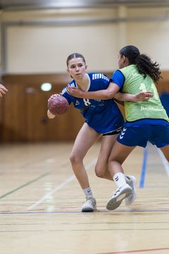 Bild 266 - wBJ TSV Ellerau - HSG Stoertal Hummeln : Ergebnis: 26:19